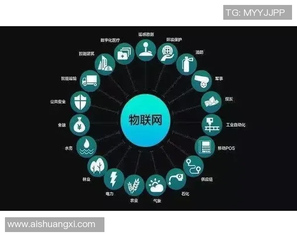 珠海球星卡店足球发展现状与未来潜力分析 珠海球星卡店足球发展现状与未来潜力分析