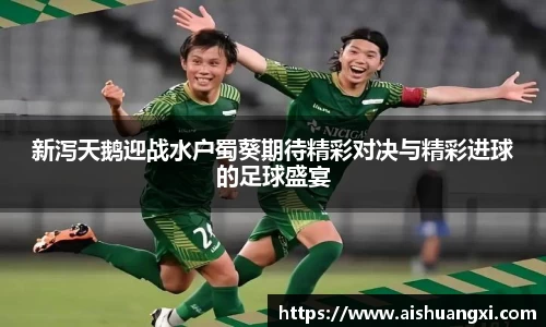 新泻天鹅迎战水户蜀葵期待精彩对决与精彩进球的足球盛宴