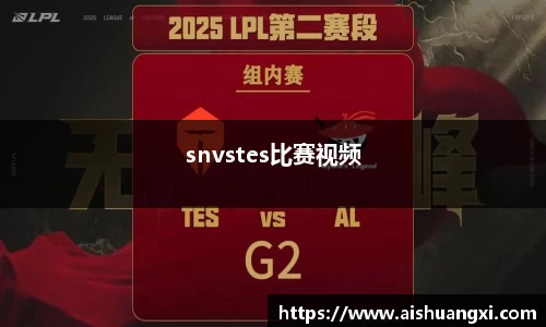 snvstes比赛视频